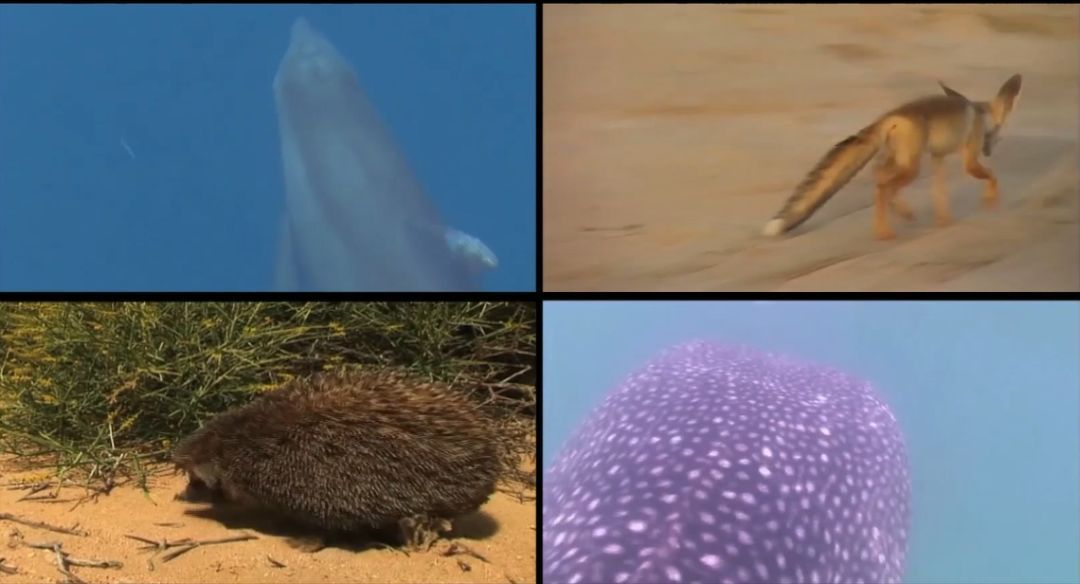 亚洲必赢国际·437ccm(中国区)官方网站