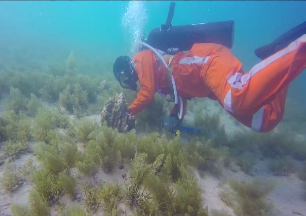 亚洲必赢国际·437ccm(中国区)官方网站