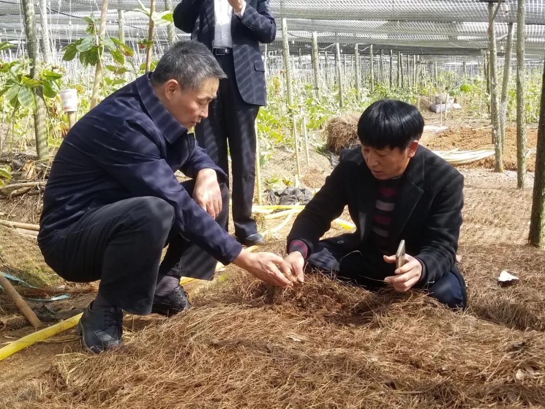 亚洲必赢国际·437ccm(中国区)官方网站