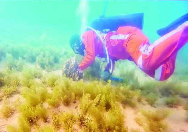 亚洲必赢国际·437ccm(中国区)官方网站