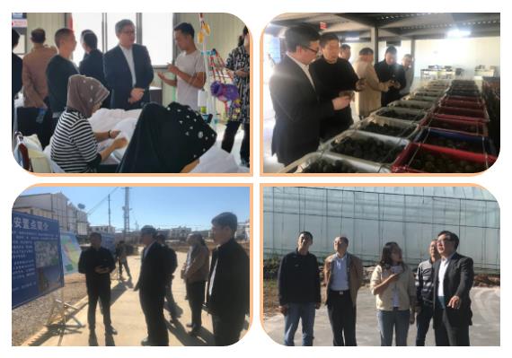 亚洲必赢国际·437ccm(中国区)官方网站