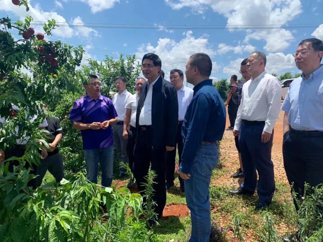 亚洲必赢国际·437ccm(中国区)官方网站