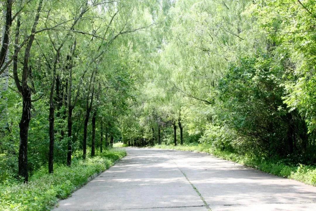 亚洲必赢国际·437ccm(中国区)官方网站