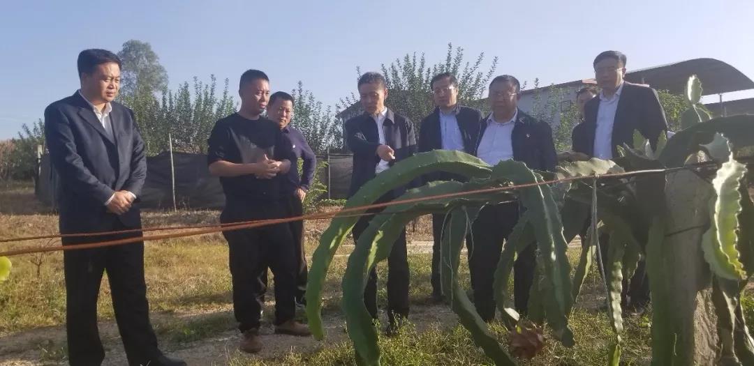 亚洲必赢国际·437ccm(中国区)官方网站