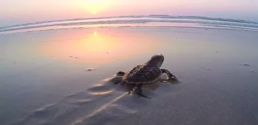 亚洲必赢国际·437ccm(中国区)官方网站