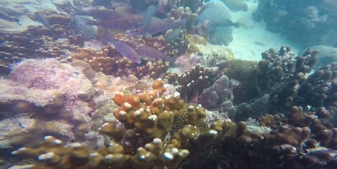 亚洲必赢国际·437ccm(中国区)官方网站