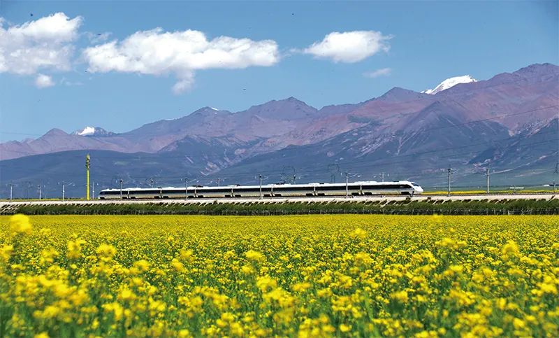 张玉卓、、国资、、央企、、国资委、、书记、、主任、、国企、、企业刷新