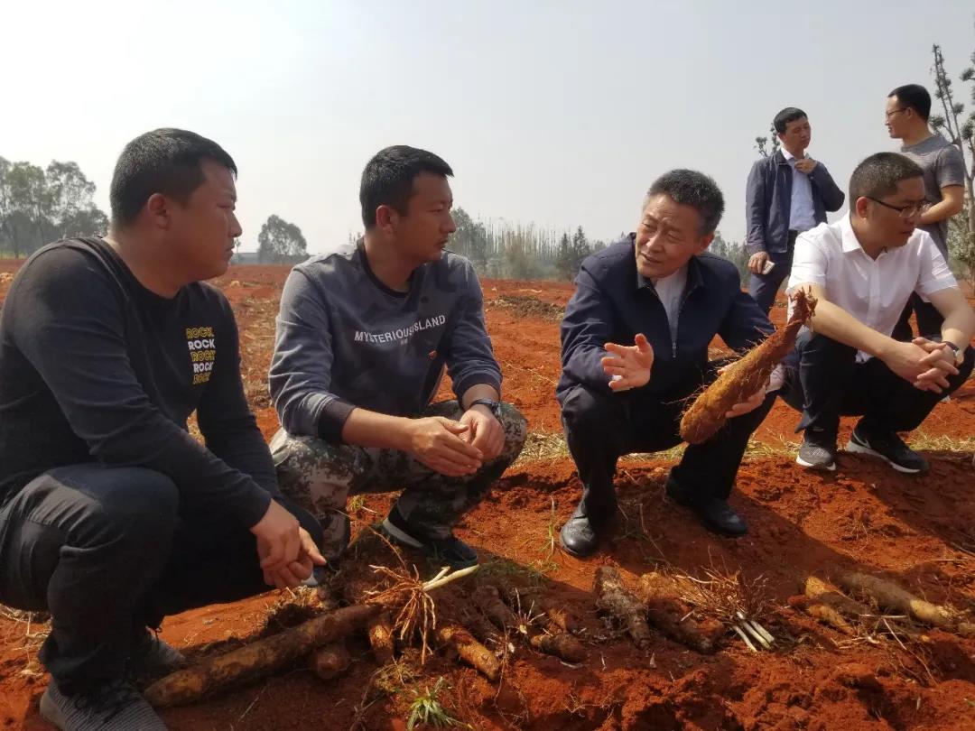 亚洲必赢国际·437ccm(中国区)官方网站