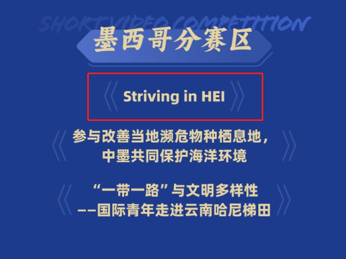 亚洲必赢国际·437ccm(中国区)官方网站