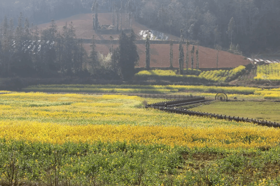 亚洲必赢国际·437ccm(中国区)官方网站